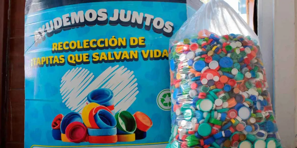 “Tapitas por la educación” busca crear conciencia y evitar que en 2050 haya más plástico que peces en los mares