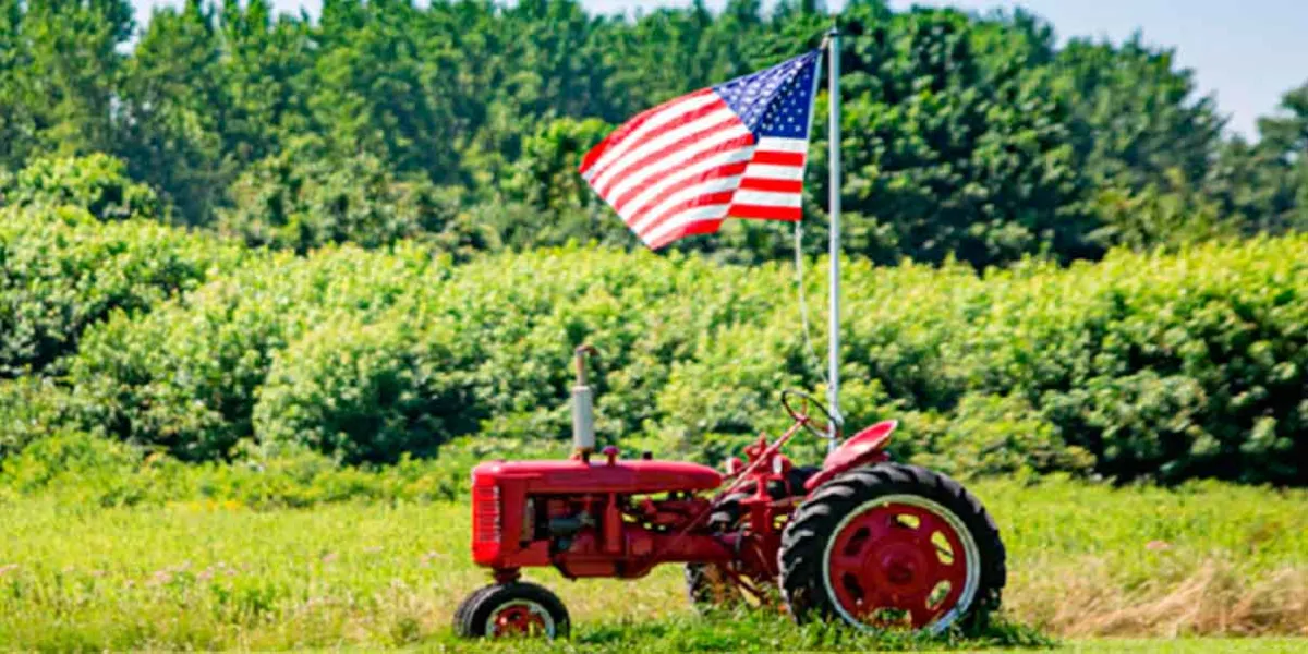 Trump anuncia apoyo millonario al campo: 12 mil millones de dólares para agricultores afectados por guerras comerciales