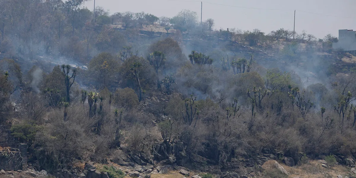 Puebla registra su mejor año en control de incendios forestales y se coloca bajo la media nacional